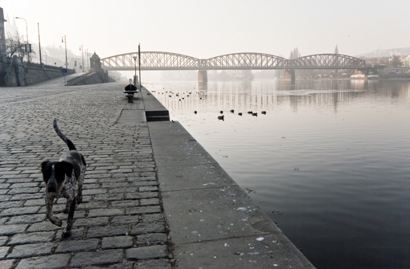 Kliknite pre zobrazenie veľkého obrázka
