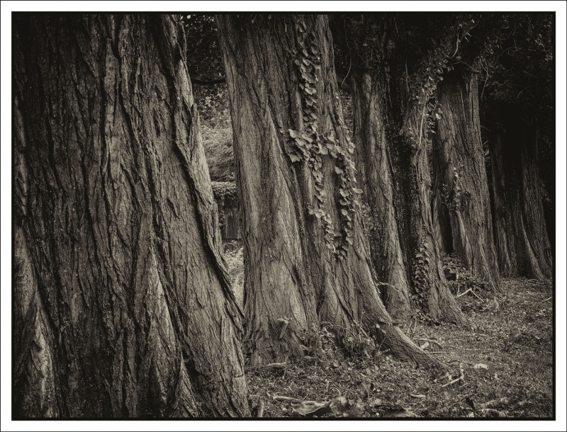 Kliknite pre zobrazenie veľkého obrázka