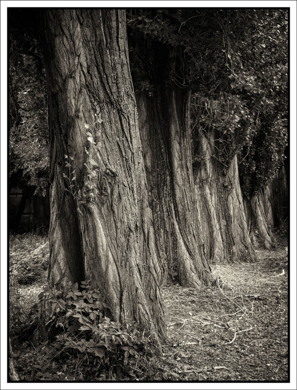 Kliknite pre zobrazenie veľkého obrázka