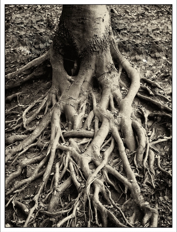 Kliknite pre zobrazenie veľkého obrázka