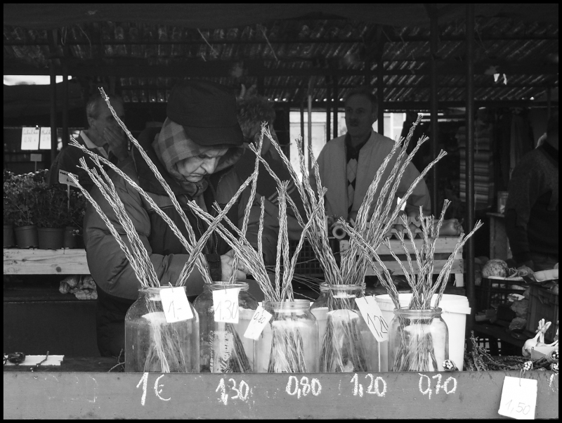 Kliknite pre zobrazenie veľkého obrázka