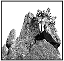 test.jpg