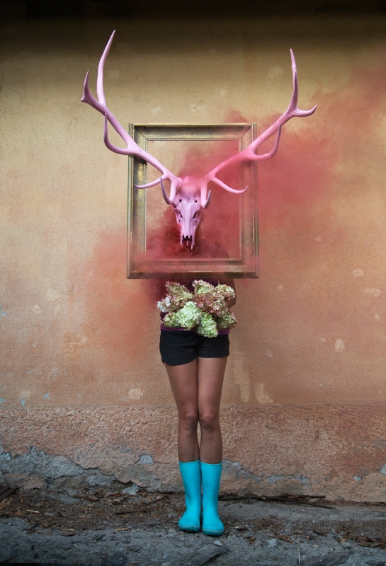 Kliknite pre zobrazenie veľkého obrázka