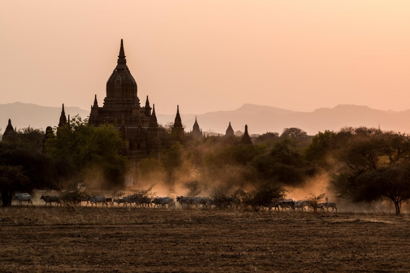 Kliknite pre zobrazenie veľkého obrázka