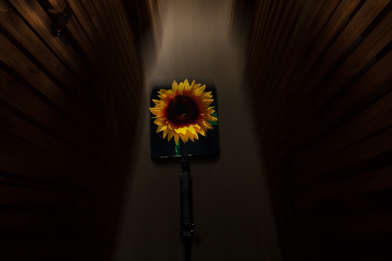 Kliknite pre zobrazenie veľkého obrázka