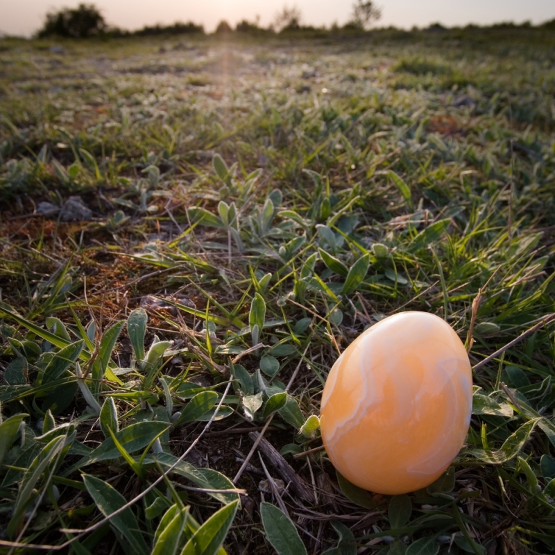Kliknite pre zobrazenie veľkého obrázka
